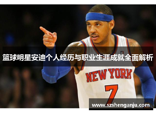 篮球明星安迪个人经历与职业生涯成就全面解析